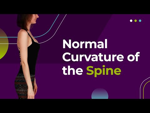Normal Curvature of the Spine