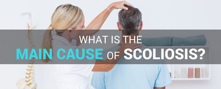 What is the main cause of scoliosis