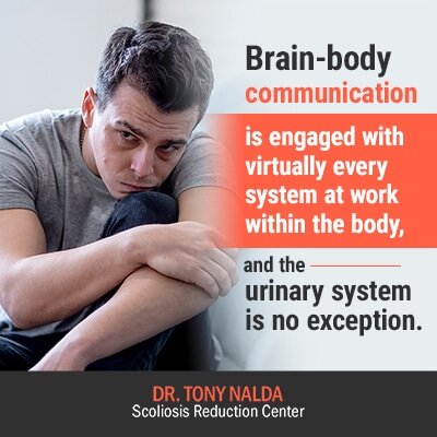 brain body communication is engaged with