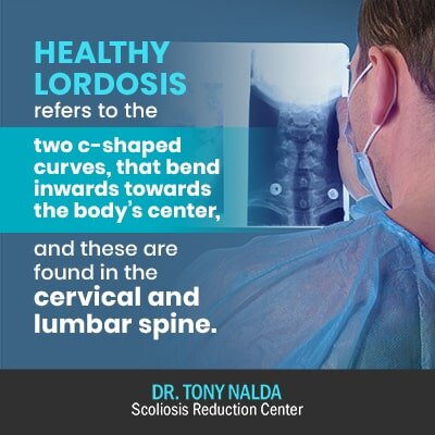 healthy lordosis refers to the