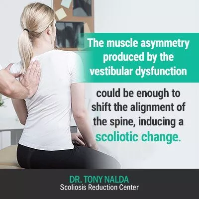 the muscle asymmetry produced by 400 the muscle asymmetry produced by