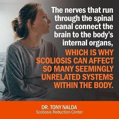 the nerves that small the nerves that small