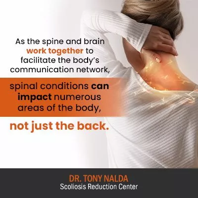 as the spine and brain work 400 as the spine and brain work 400