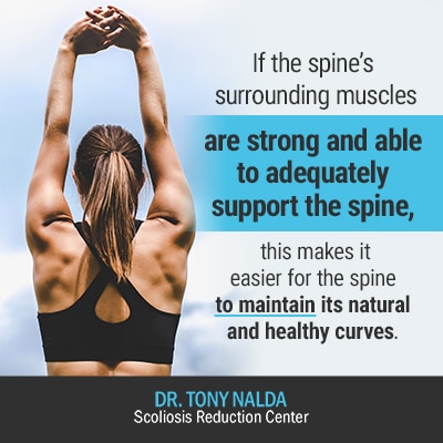 if the spines surrounding muscles 400