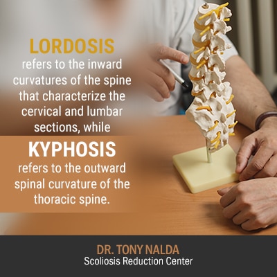 lordosis refers to the inward 400