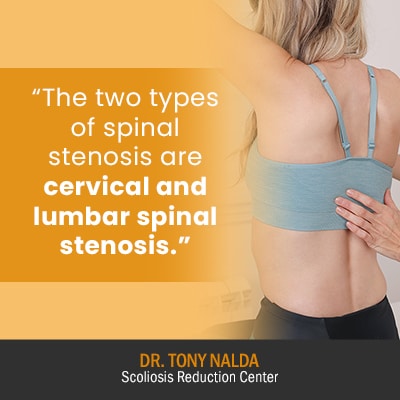 the two types of spinal 400