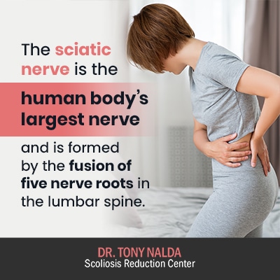 the sciatica nerve is the 400