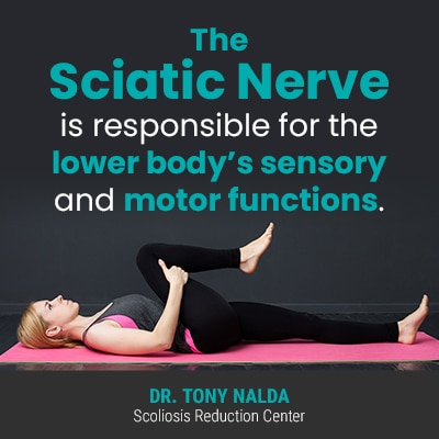 Sciatica Relief Stretches