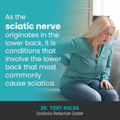 as the sciatic nerve 400