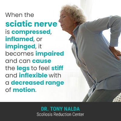 when the sciatic nerve 400