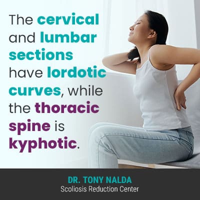 the cervical and lumbar 400