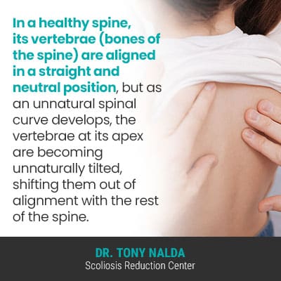 In a healthy spine its 400