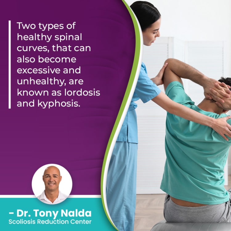 two types of healthy spinal curves