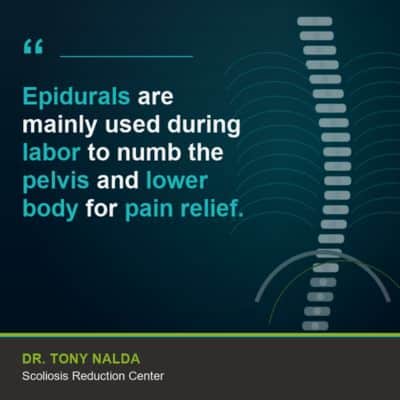Epidurals are used primarily during 400 A visual representation of the quote from the text starting with “Epidurals are used primarily during"