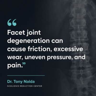 A visual representation of the quote from the text starting with “The facet joints connecting vertebrae"