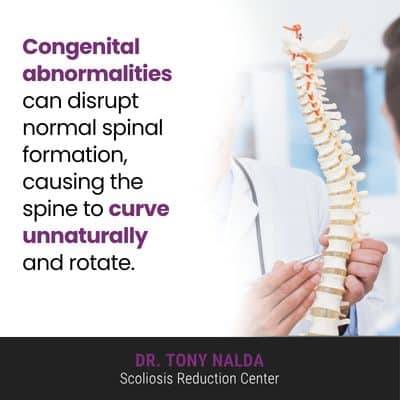 If the normal process of the spine's 400 A visual representation of the quote from the text starting with “If the normal process of the spine's"